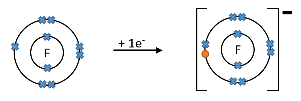 Fluorine Atom to Fluoride Ion Dot and Cross Diagram